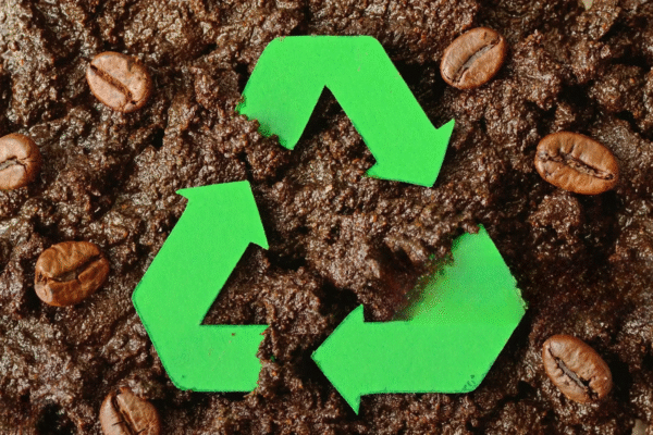 The Rise of Sustainable Coffee Equipment: How Manufacturers Embrace Eco-Friendly Practices